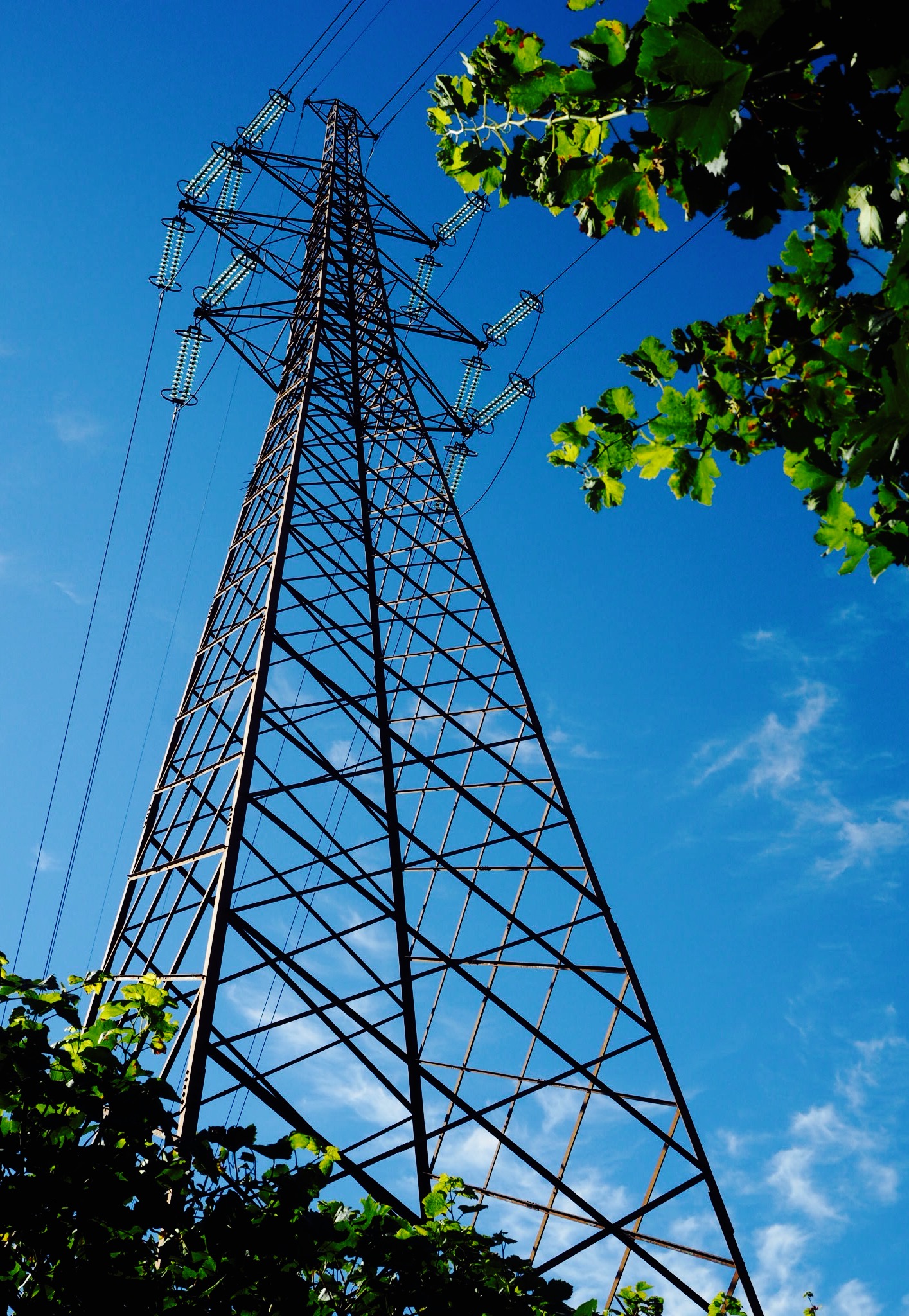 22b7b03c-image1.jpg